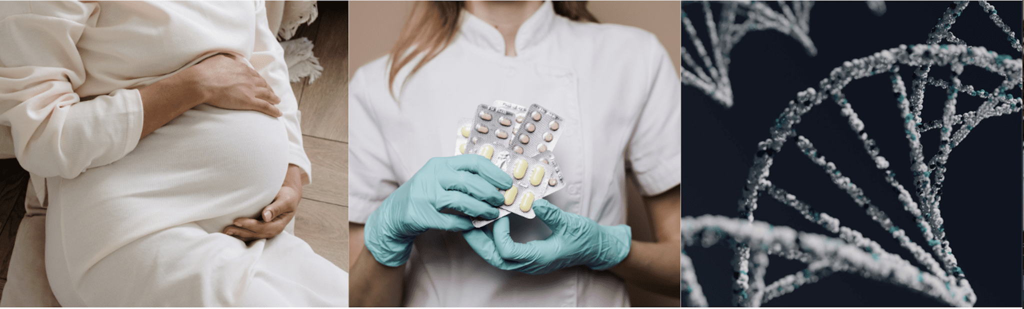 MS Research Updates October 2024 ECTRIMS